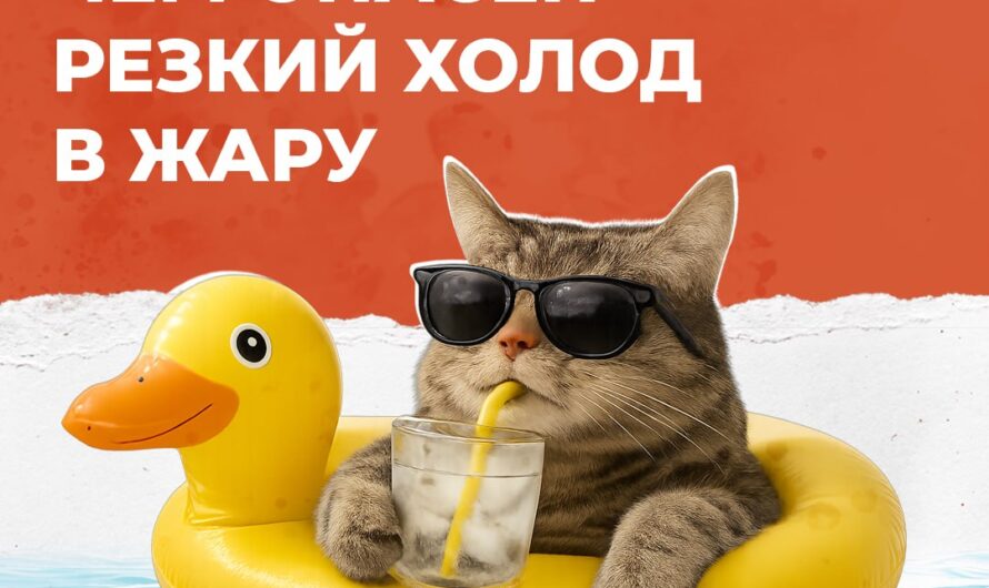 ПростыеПравила: Чем опасен резкий холод в жару